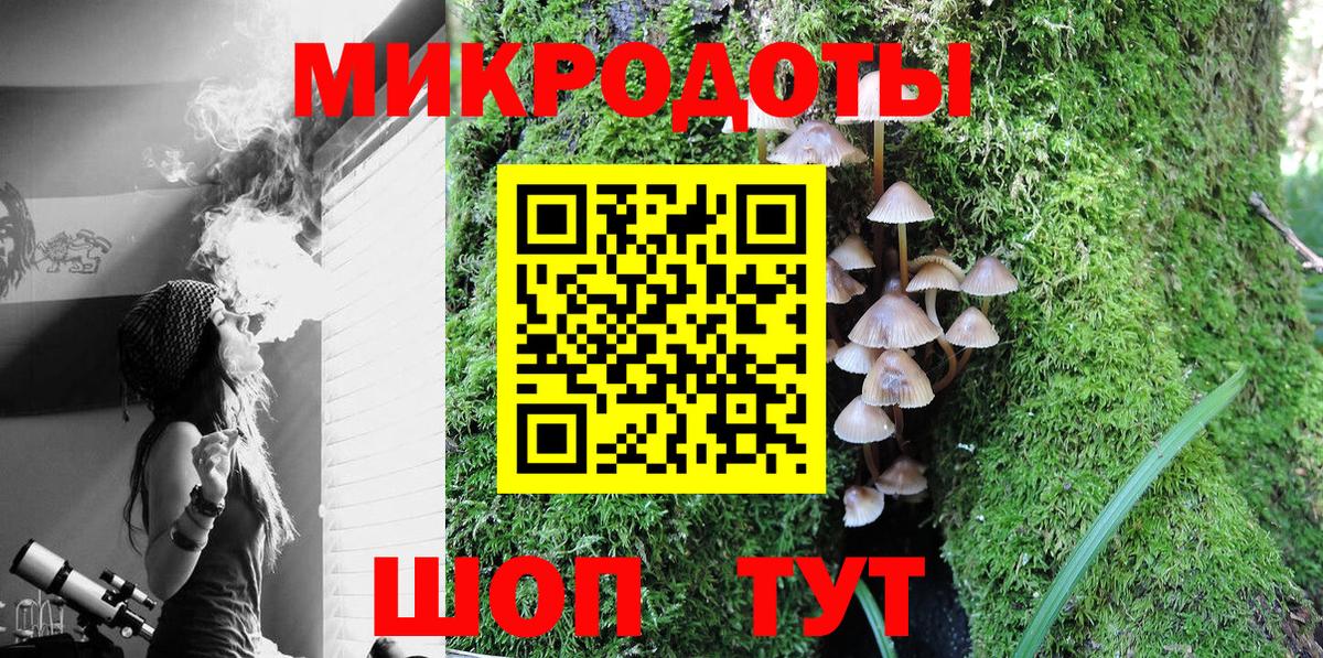 Галлюциногенные грибы Psilocybine cubensis Апшеронск