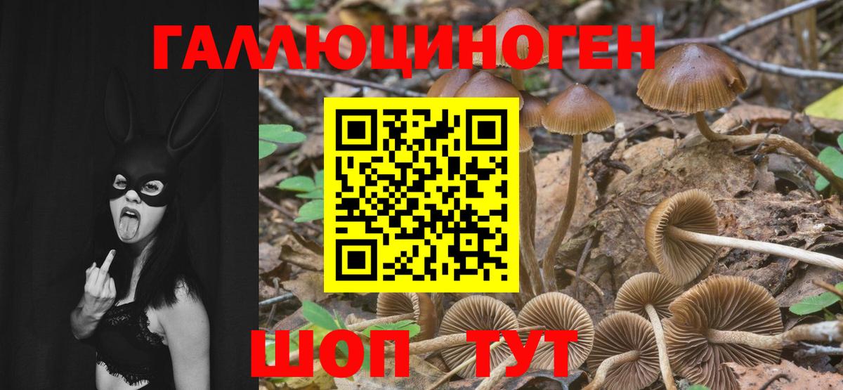 Апшеронск  Псилоцибиновые грибы ЛСД  Вход с VPN 